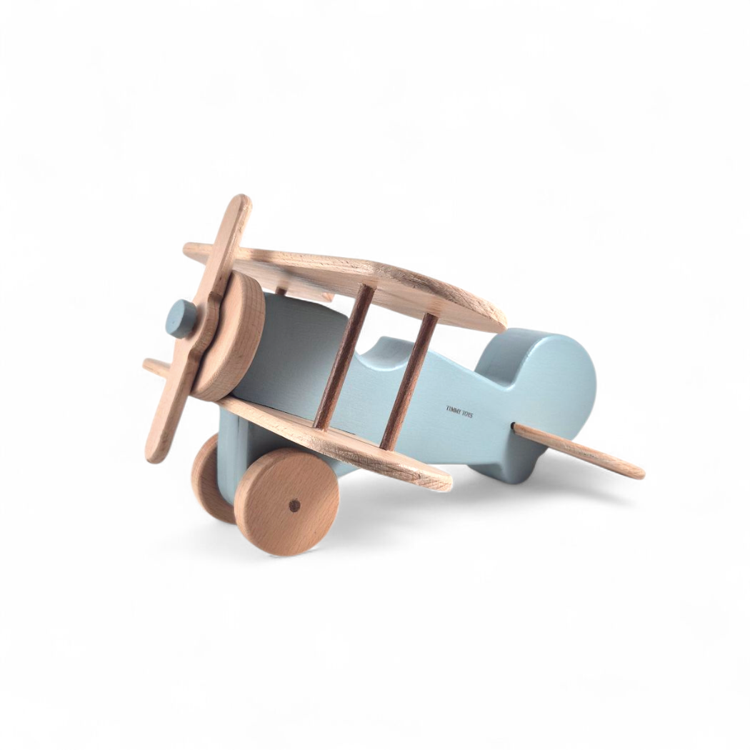 Giant Wooden Aeroplane